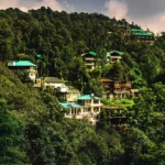 himachal pride