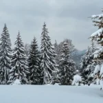 snowfall in india