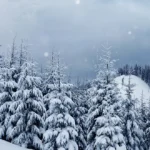 snowfall in uttarakhand