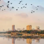 rive nile