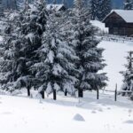 Top Snowfall Destinations Near Delhi