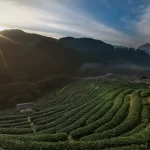 Assam