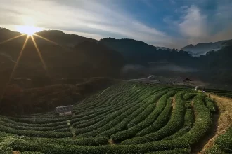 Assam